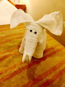 11024794_10207380214680599_8112279718875606661_n